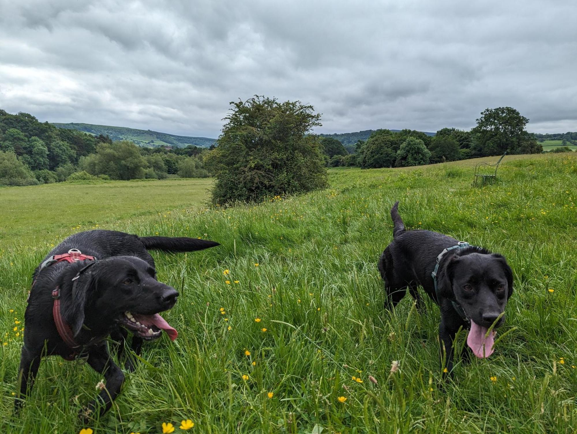 The Agents House, Bed & Breakfast Whitney-on-Wye 외부 사진